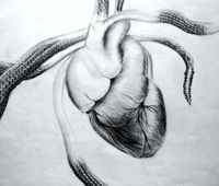 Snake-Heart